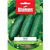 Blumen cetriolo verde