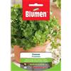 Blumen prezzemolo comune