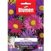 Blumen astro della cina in miscuglio