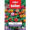 Blumen zinnia lilliput in miscuglio