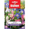Blumen aquilegia dei giardini in miscuglio