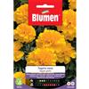 Blumen tagete nano doppio giallo