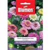 Blumen zinnia thumbelina nana da bordura in miscuglio