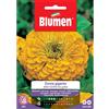 Blumen zinnia gigante della california gialla