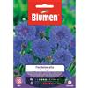 Blumen Ev fiordaliso doppio