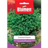 Blumen crescione comune