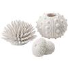 biOrb 48364 biOrb - Set di ricci di mare, colore: Bianco