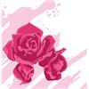 Sizzix Stencil a strati con rose acquerellate, confezione da 4, di Olivia Rose