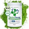 MatchaTherapy EGCG 60+ Matcha BIO Cerimoniale Primo Raccolto 60g Giappone | ALLROUNDER Vital+ | min. 60mg/g EGCG testato in lab | 100% BIO | Primo Raccolto | Catechine naturali | Consumo consapevole