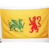 AZ FLAG Bandiera Regno di GALIZIA 410-585 90x60cm - Bandiera Galicia in Spagna 60 x 90 cm Foro per Asta