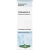 ERBA VITA GROUP SPA Coriandolo Semi Tintura Idroalcolica 50ml Erbavita
