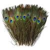 baotongle 30 pezzi piume di pavone naturali belle piume di coda di pavone occhi piume decorazioni per fai da te Embellishments decorazioni per la casa di nozze