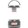 Coleman Lanterna LED Batteryguard 600 lumen, super luminosa ad alta potenza Cree Led lampada, lanterna portatile da campeggio - nero, piccola