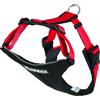 Neewa Pettorina NEEWA Running, rossa - 54 - 84 cm circ. torace
