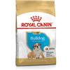 Royal Canin Bulldog Inglese Junior - Royal Canin - Bulldog Inglese Junior - 12KG