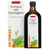 Dr Theiss Sciroppo alla Piantaggine Soluzione Orale 250 ml