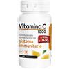 Paladin Pharma Sanavita - Vitamina C 1000 Integratore Alimentare, 60 Compresse