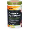 Protein'n NAMEDSPORT Protein'n Hyaluronic Delicious Chocolate 260 g Polvere per soluzione orale