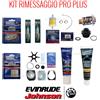 Evinrude Kit PRO PLUS Rimessaggio Evinrude E-TEC 40-60 HP - 1 PZ - BRP14