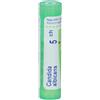 Candida Boiron Candida Albicans 5Ch Granuli 4 g