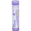 NUX Moschata BOI Nux Moschata*30Ch 80Gr 4G 4 g Granuli