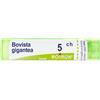 Bovista Gigan BOI Bovista Gigantea*5Ch 80Gr 4G 45 g Granuli