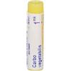 Carbo Vegetabilis Mk Gl 1 g Globuli