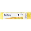 Cantharis 4Ch Gr 4 g Granuli