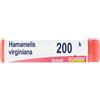 Hamamelis Laboratoires Boiron Hamamelis Virg 200K Gl 1 g Globuli