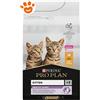 Purina Cat Pro Plan Original Kitten Pollo - Sacco da 400 Gr