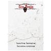 Asmodee Sanctum Imperium 2nd Ed. - Sine Requie (New Asmodee)