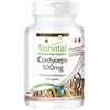 Fairvital | Cordyceps 500mg - per 1 mese - VEGAN - ad alto dosaggio - 90 capsule - Cordyceps Sinensis - fungo del bruco
