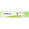 Causticum BOI Causticum*5Ch 80Gr 4G 4 g Granuli