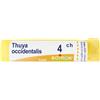 Thuya Occident 4Ch Gr 4 g Granuli