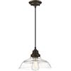 Westinghouse Lighting Lampadari 60 W, Oiled Bronze