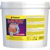 Tropical D-50 PLUS 5L / 1kg - Mangime di base per intensificare i colori dei discus