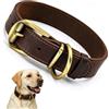 Qianruida Collare per Cane in Pelle Collari Cuoio Genuino Regolabile per Cani di Piccola Taglia Media Taglia Grande ed Extra Grande -XL