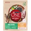 PURINA ONE Mini Active Pollo, Riso - Cibo secco per cani - 800g