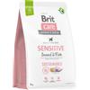 BRIT CARE Sustainable Sensitive Insect & Fish 3 kg