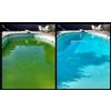 AQUA SPHERE KIT ANTIALGHE SENZA FLOCCULANTE