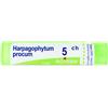 BOIRON Srl Harpagophytum Procum 5CH Boiron 80 Granuli