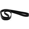 DAYCO 6PK1613 CINGHIA POLY-V COM.P-A-C REGATA D.1930CC