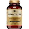 SOLGAR IT. MULTINUTRIENT SPA Solgar Lipo Colina 100 Capsule Vegetali