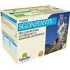Valverbe Tisana sgonfiante 30 g BIO