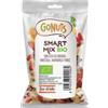 GoNuts Mix Smart 30 g BIO