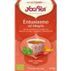 Yogi Tea Tè entusiasmo ed allegria 30.6 g BIO