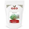Geo Semi di erba medica per germogli 500 g BIO