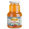 Achillea Infuso a base di bacche di rosa canina e mirtillo 750ml