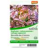 Sativa Lattuga cappuccio 4 stagioni 0.75 g BIO