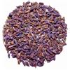 Erbe di Montagna Lavanda fiori blu vasetto g.10